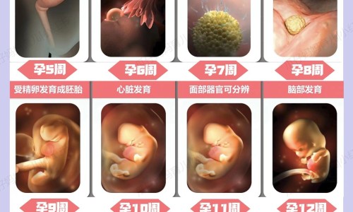 怀孕期间吃了二丁颗粒有影响吗-怀孕期间吃了二丁颗粒网 - 网站提供怀孕期间吃点什么食物最好小常识、怀孕期间吃了二丁颗粒有影响吗